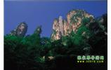 網(wǎng)絡(luò)熱門純玩游：張家界、天子山、袁家界、楊家界 自助三日游