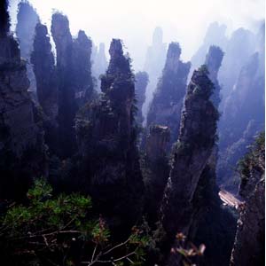 【純玩拼團線路】下午班：鳳凰古城、張家界、天子山三晚四日游