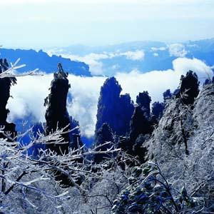 LD線：張家界、天子山、楊家界、猛洞河漂流純玩四日游