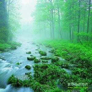 【純玩散拼尊享系列3】張家界、天子山、袁家界、黃龍洞、鳳凰三晚四日游