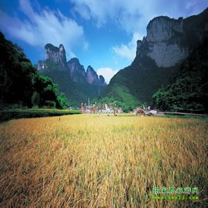 張家界往返純玩散拼：矮寨大橋、德夯苗寨、鳳凰古城、芙蓉鎮(zhèn)二日游